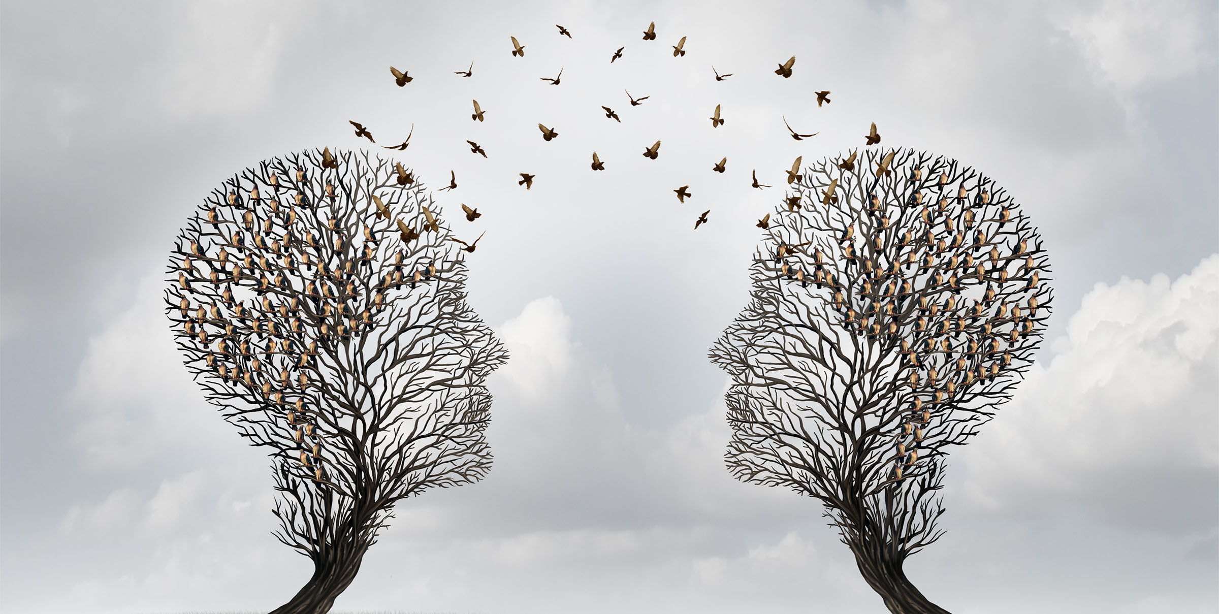 Coaching & Mediation